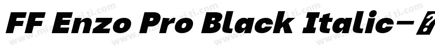 FF Enzo Pro Black Italic字体转换